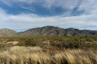 IMG_2059