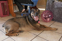 IMG_2941