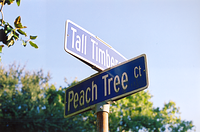 peachtree