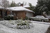 Snow in New Orelans - 12-11-08