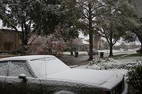 IMG_0587