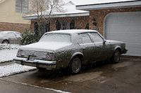 IMG_0602