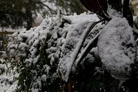 IMG_0651