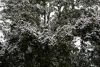 IMG_0658