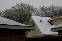 IMG_0684