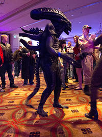 IMG_1166.jpg