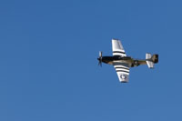 Quicksilver P-51 Mustang