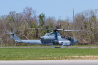 Cobra Landing