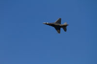 IMG 5819