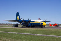 Fat Albert