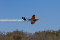 IMG 6195