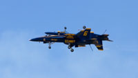 IMG 6558