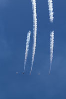 IMG 6648