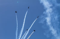 IMG 6775