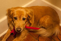 IMG-6148