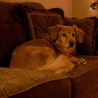 IMG-6264