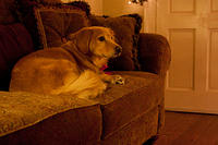 IMG-6271