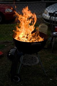 IMG_9726