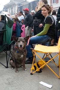IMG_0855