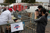 IMG-4793