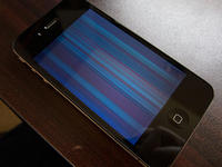 IMG-1486