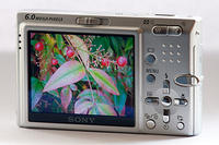 IMG-7607
