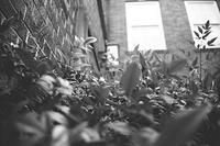 060_60.JPG