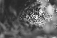 148_18.JPG