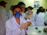 would you like a piece of brain?