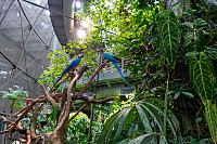 Osher Rainforest