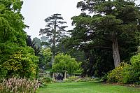 Camellia Garden