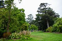 DSC05329