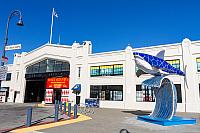 IMG 2367