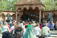 IMG-4582