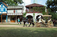 IMG-4591