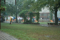 IMG-4625