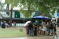 IMG-4681