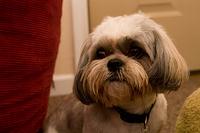 IMG_8052