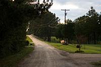 IMG_8590