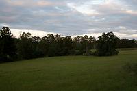 IMG_8627