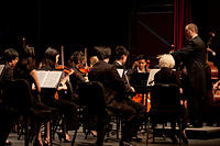 IMG-9636