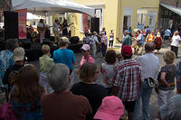IMG-0729