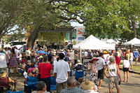 IMG-0737