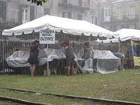 IMG-0799