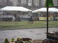 IMG-0808