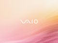 Vaio - 2008 Series
