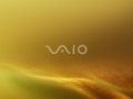 Vaio - 2008 Series