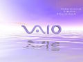 Vaio - Morning
