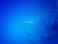 Vaio - Azure Float