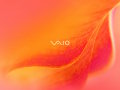 Vaio - Cozy Orange 2007